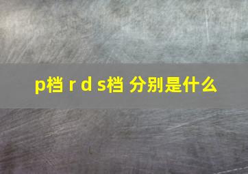 p档 r d s档 分别是什么